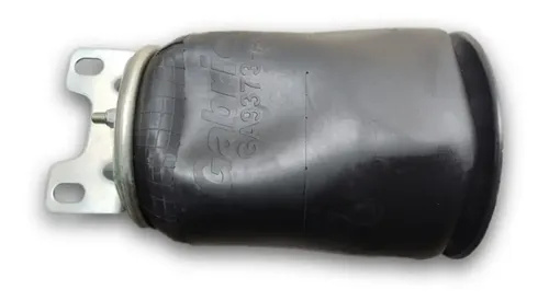 BOLSA DE AIRE GABRIEL 1R12-403