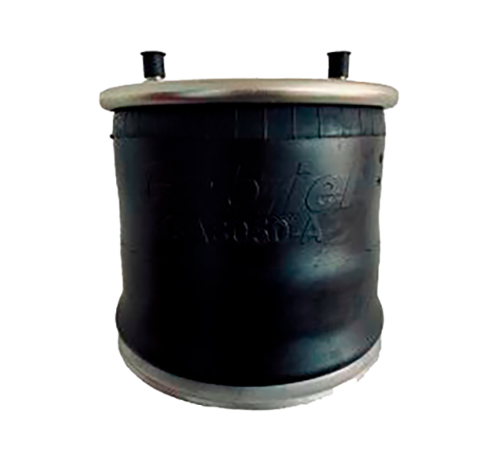 BOLSA DE AIRE GABRIEL 1R14-039